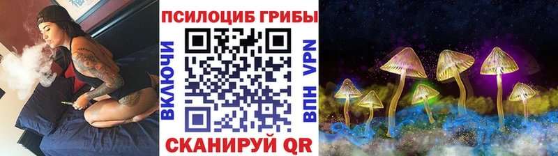 Галлюциногенные грибы мицелий  где можно купить наркотик  Лагань 